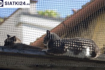 Siatki Świnoujście - Siatka na balkony dla kota i zabezpieczenie dzieci dla terenów Świnoujścia